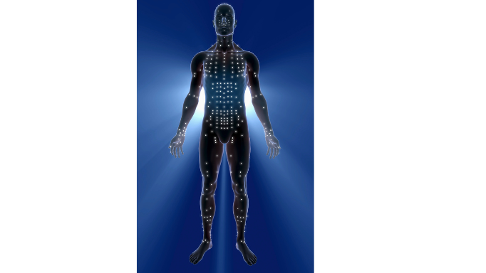 acupuncture meridians male body