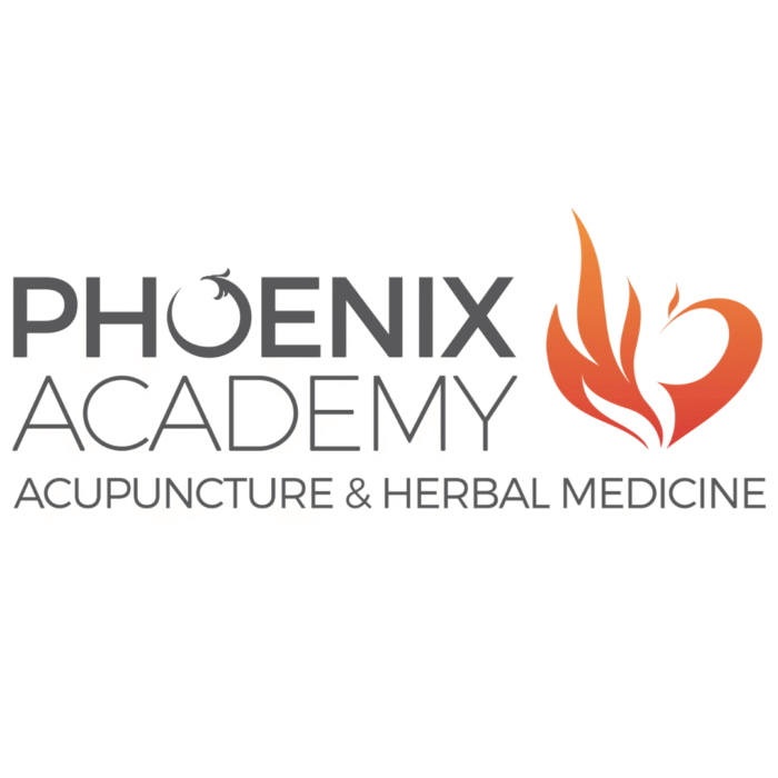 Phoenix Academy Logo Phoenix Academy Logo
