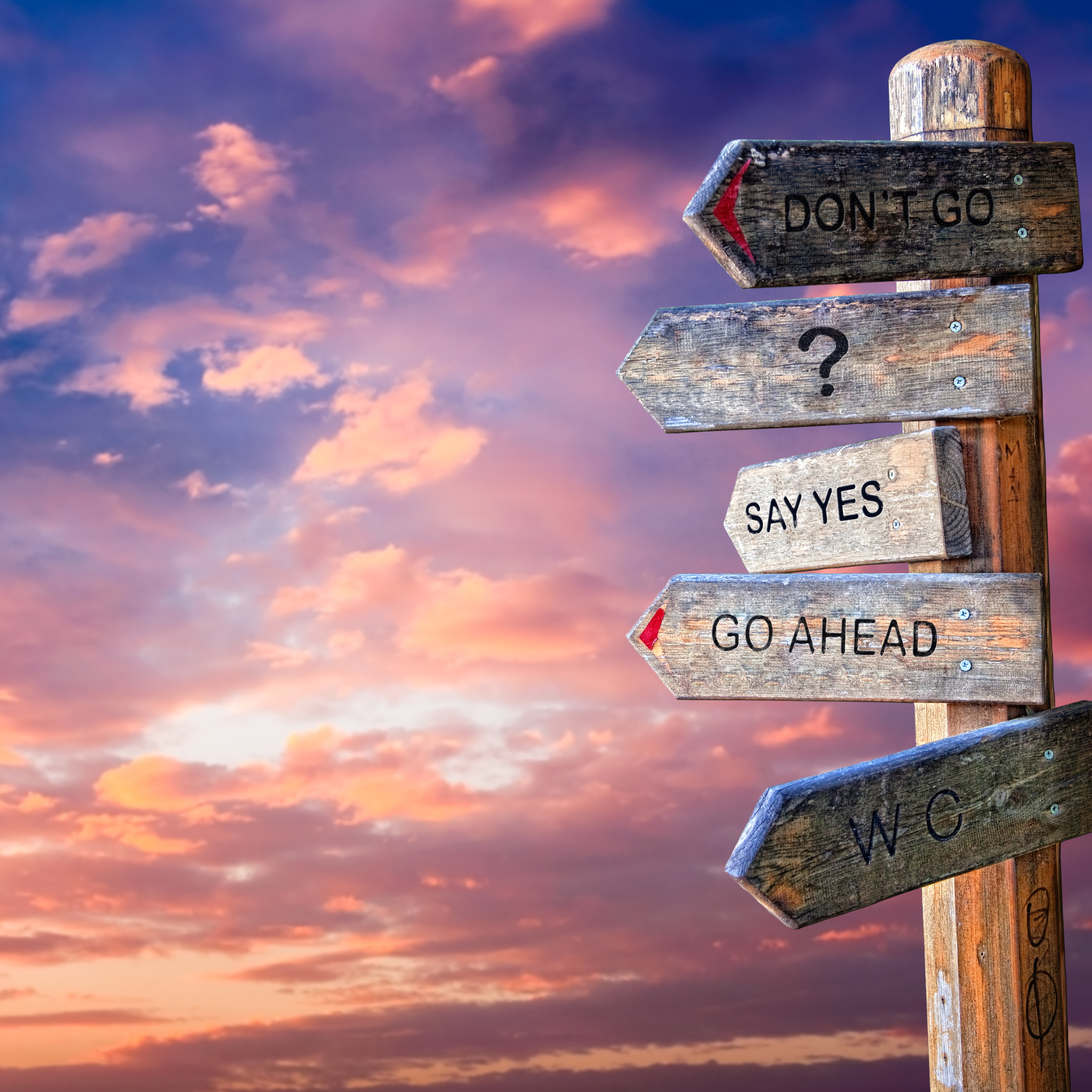 signposts