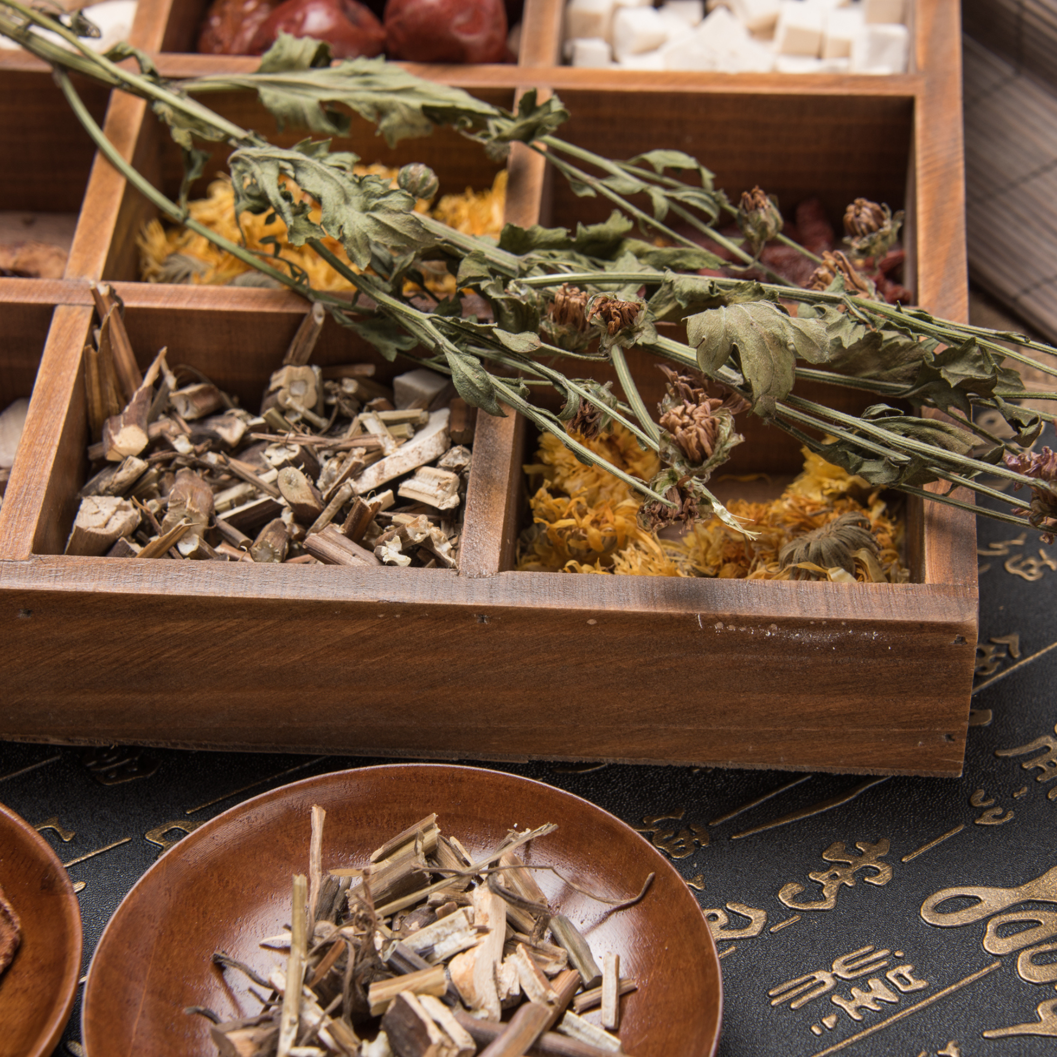 apothecary