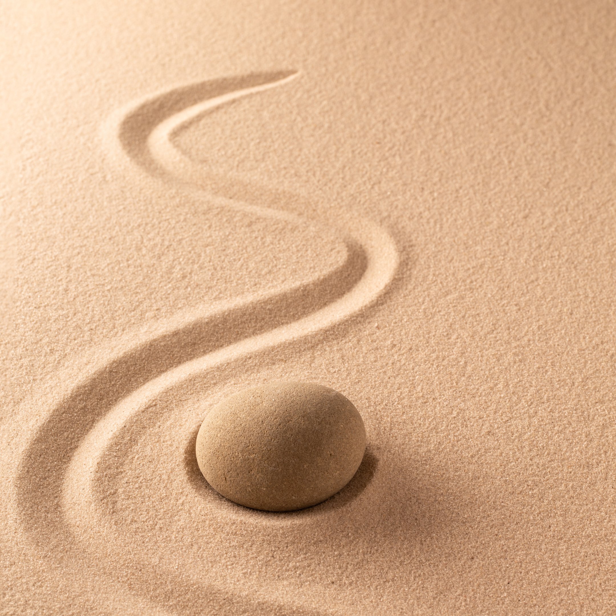 mindfulness snake trail