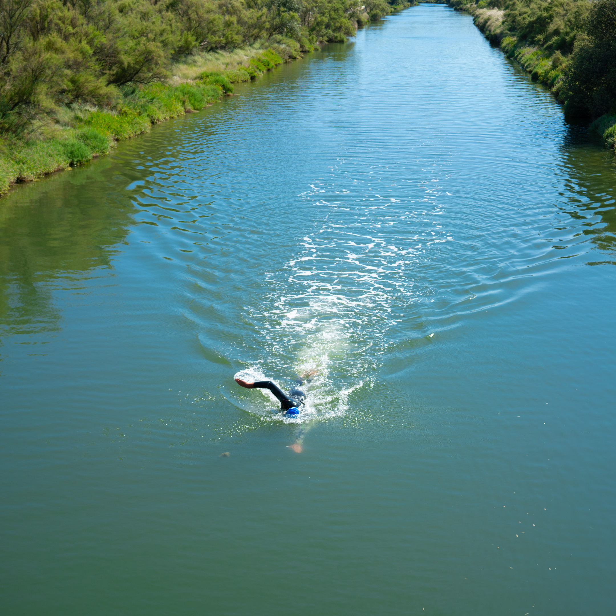 open water swimming