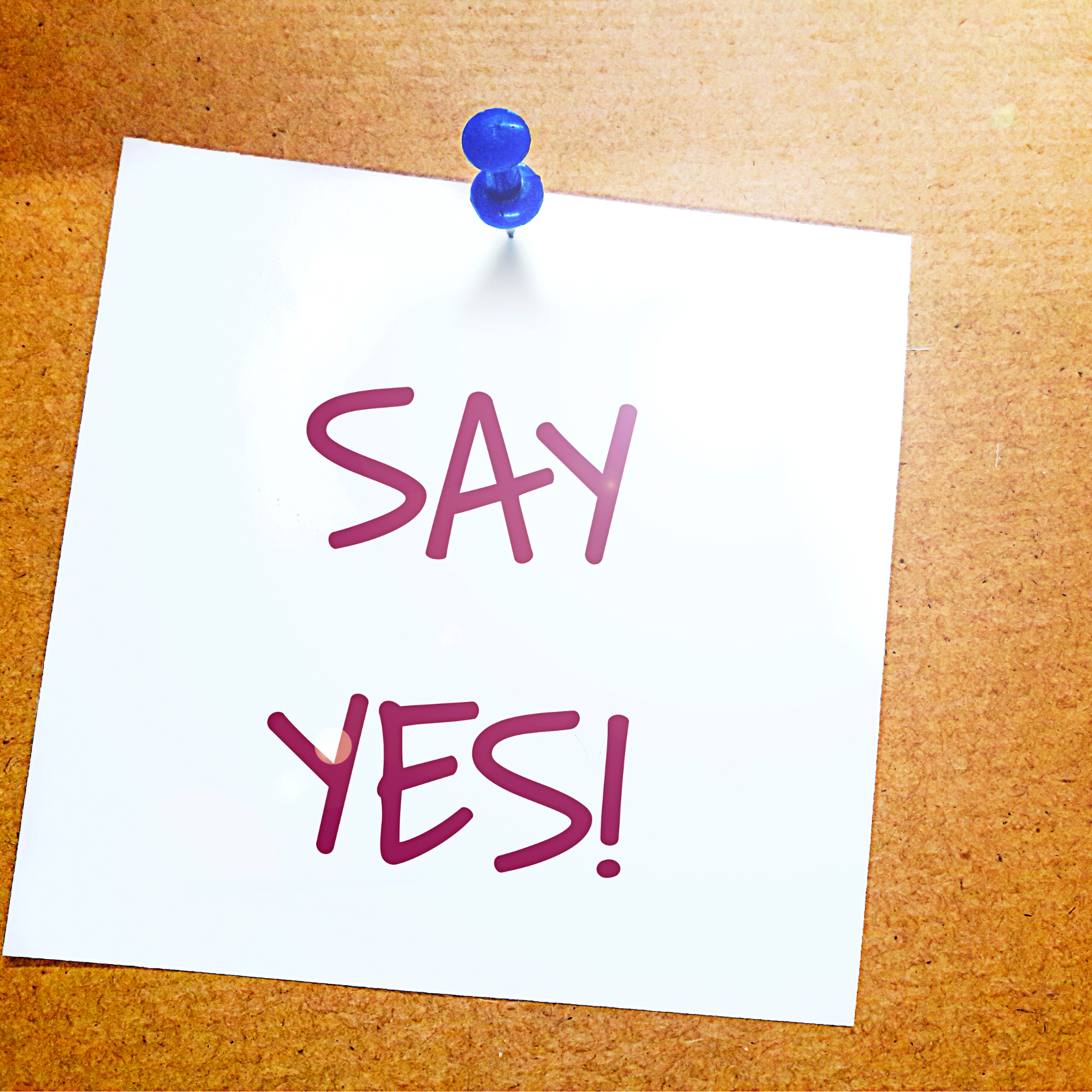 say yes