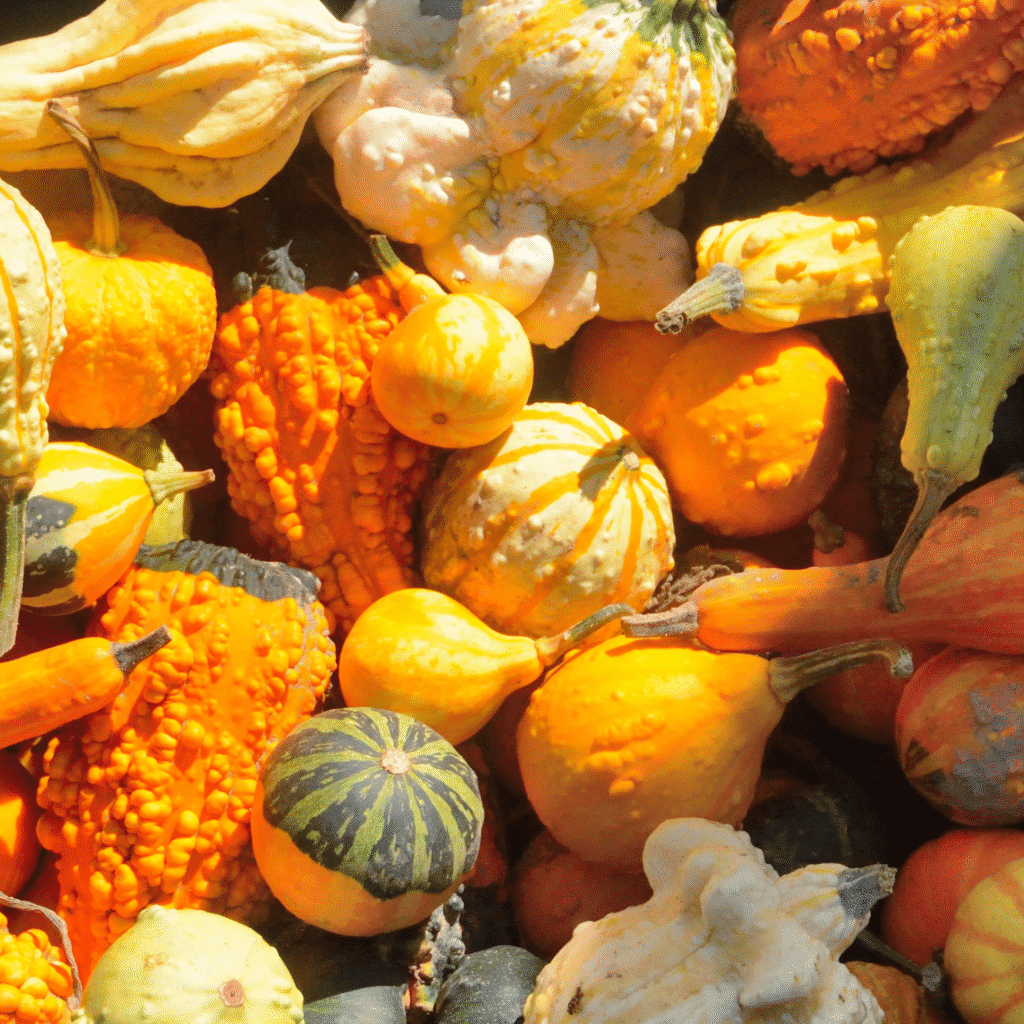 squash