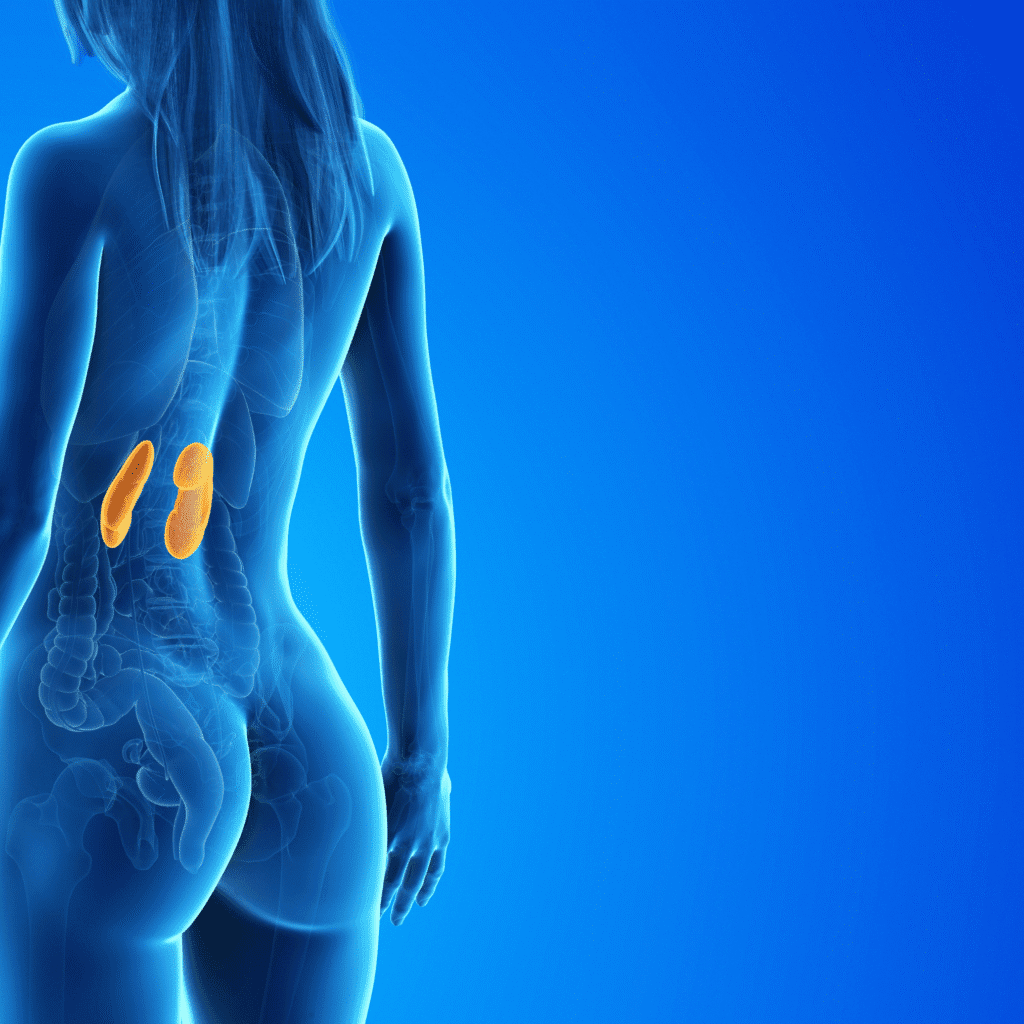 woman's kidney