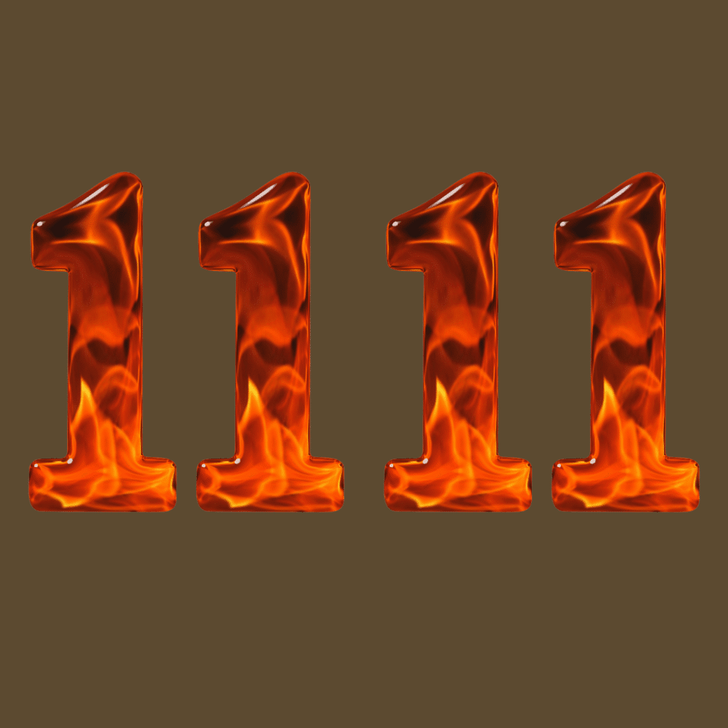 1111