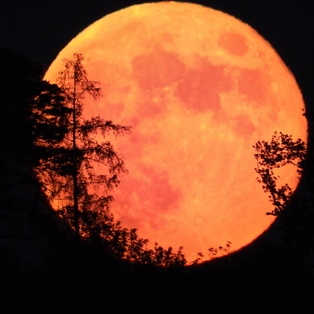 full moon red