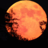 full moon red