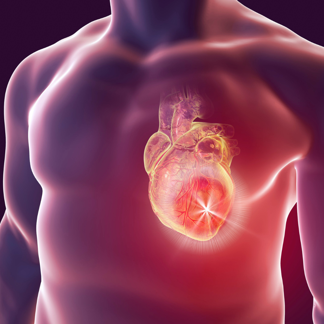 heart