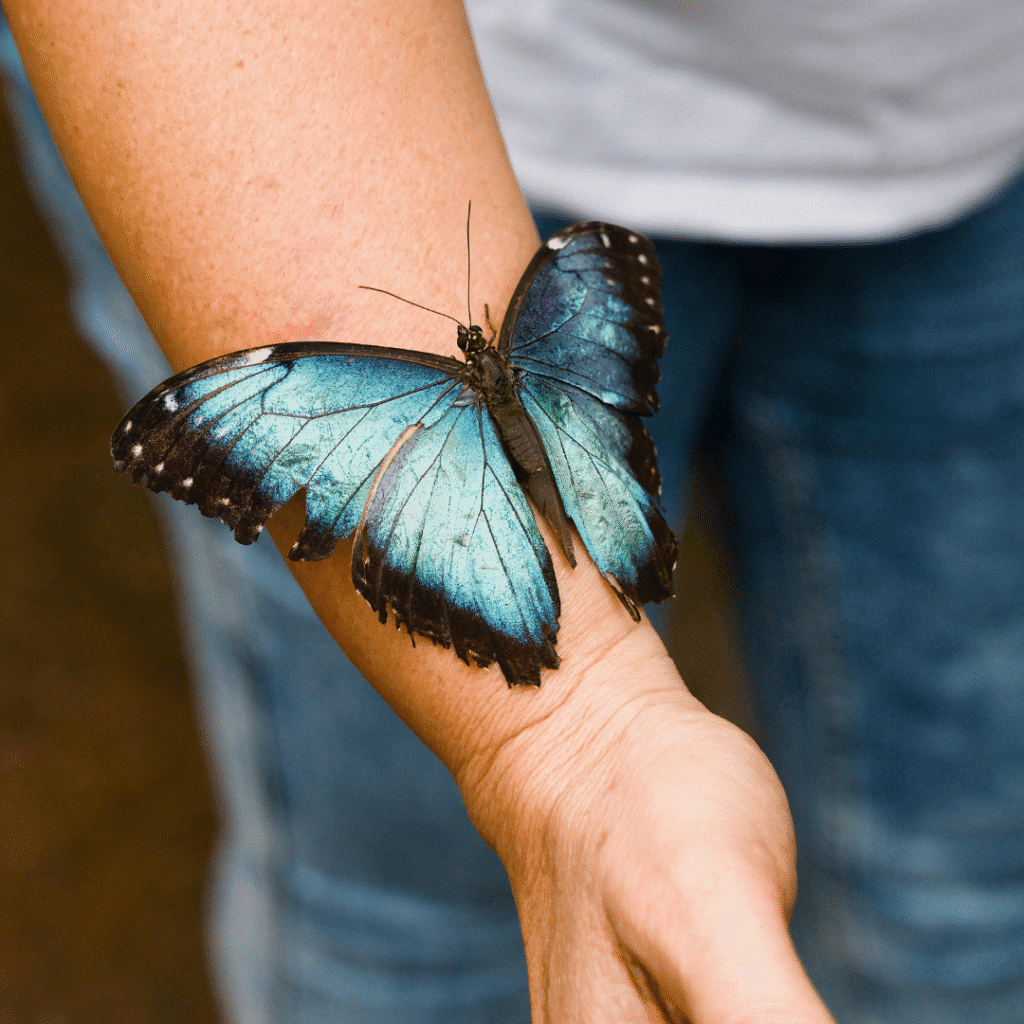 human and butterfly