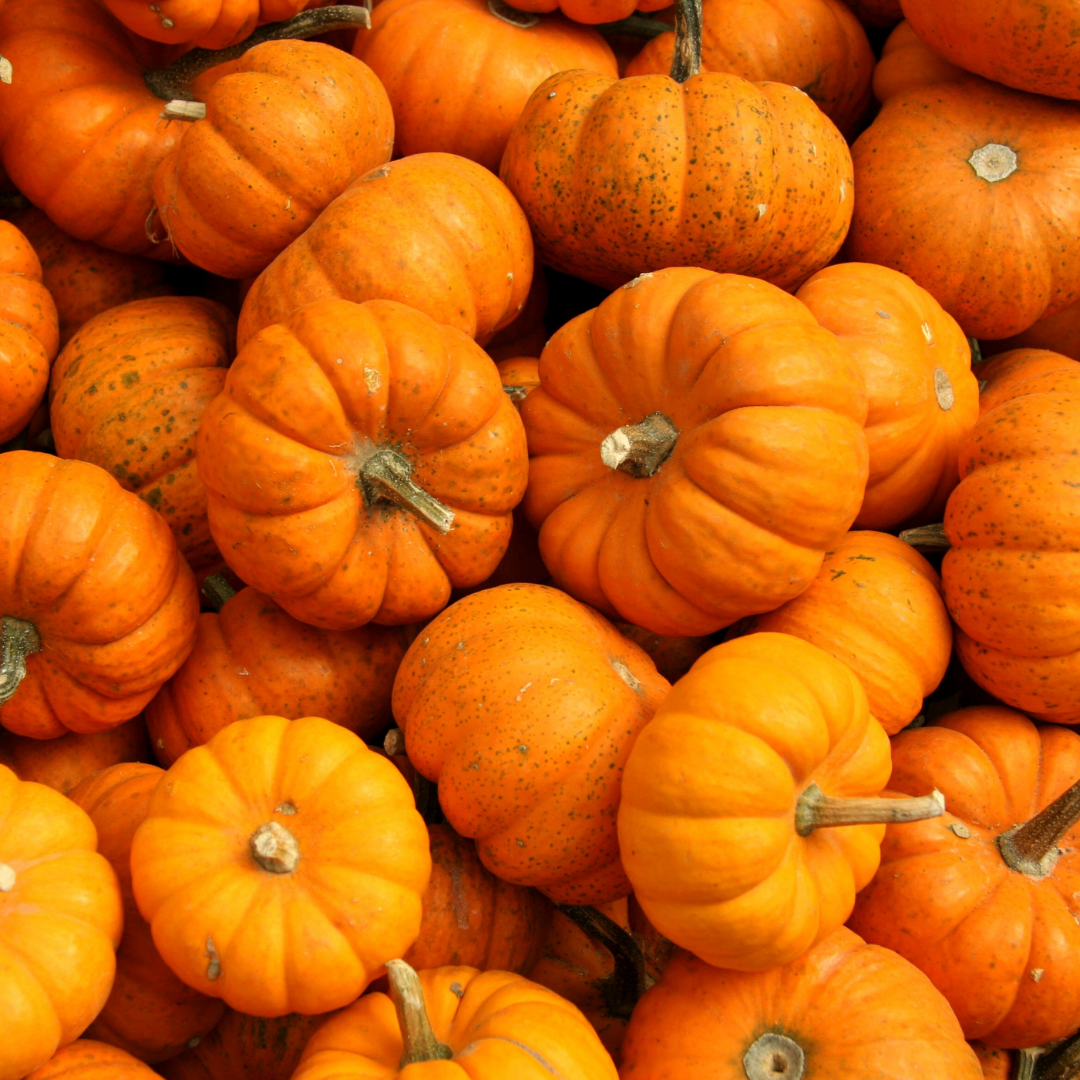 pumpkins