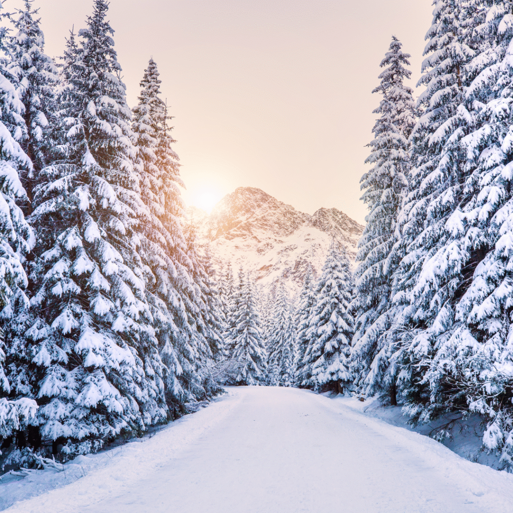 snowy winter