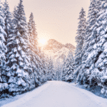 snowy winter